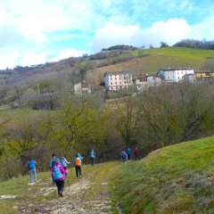 P1180216   Ormai prossimi, m. 530 slm.